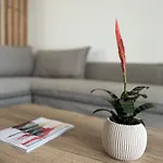 La Boheme Apartment *